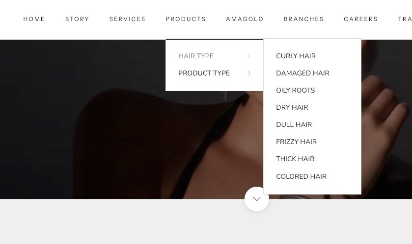 Menu principal avec catégories produits