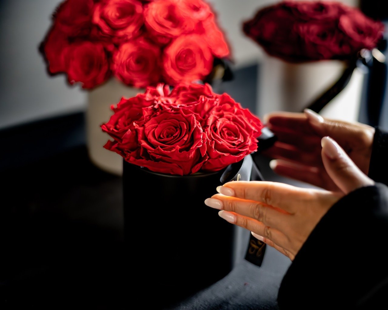 Roses rouges en nature morte